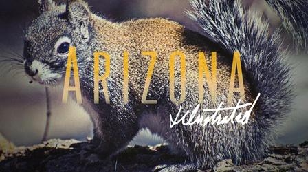 Video thumbnail: Arizona Illustrated July 16, 2017
