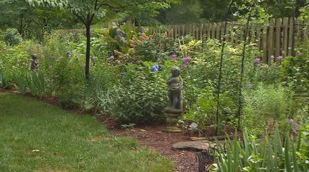 Video thumbnail: Volunteer Gardener Volunteer Gardener 2907