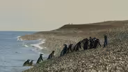 The Desert Coast