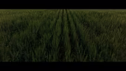 Save The Farm, Save The Future