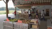 Hendersonville Apples