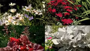 Columbia College Gardens