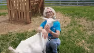 Rescuing Animals