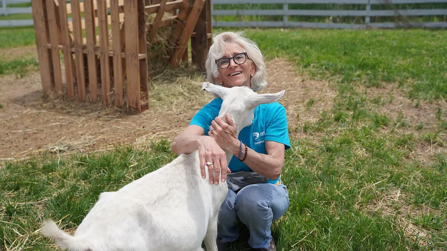 Rescuing Animals