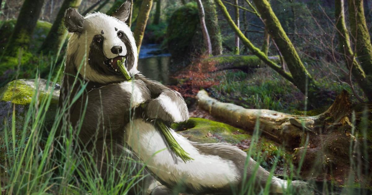 The first ancestors of giant pandas probably lived in Europe