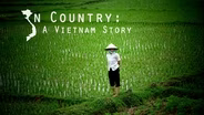 In Country: A Vietnam Story