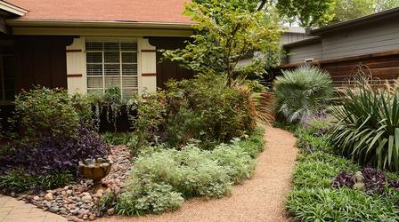 Video thumbnail: Central Texas Gardener Save Your Succulents + Charmed Up Makeover