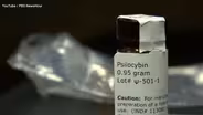 Psilocybin shown to have medicinal value, NJ researcher says