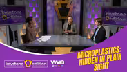 Microplastics: Hidden in Plain Sight