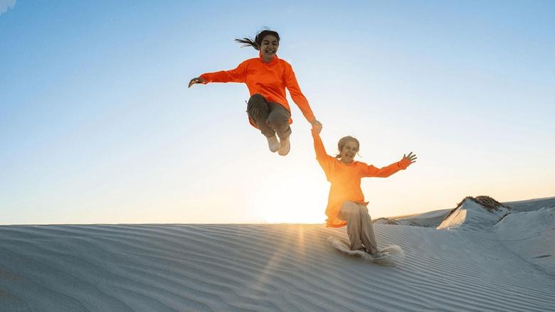 The Survivalists Image