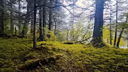 Quiet Moments in the Wilderness with Northwest Navigation