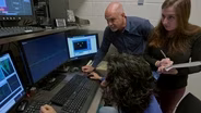 Brain Synchrony: The Secret to Better Teamwork