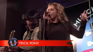 Trick Pony