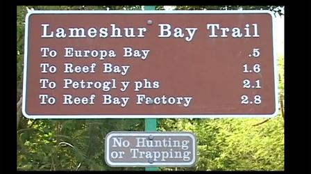Video thumbnail: Rediscover St. John Rediscover St. John:  Lamshure Bay