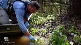 Video thumbnail: PBS NewsHour Environmentalists say Florence storm waters pose dire threat