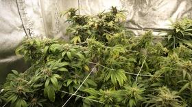 Video thumbnail: New York NOW The Push Against Legalized Marijuana