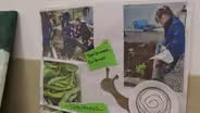 Argentine School Wins Global Prize for Community Collaboration