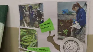 Argentine School Wins Global Prize for Community Collaboration
