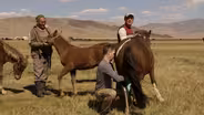 Milking a Horse is Harder than You Think