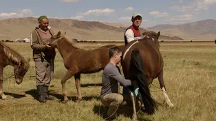 Milking a Horse is Harder than You Think