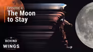 The Moon, To Stay