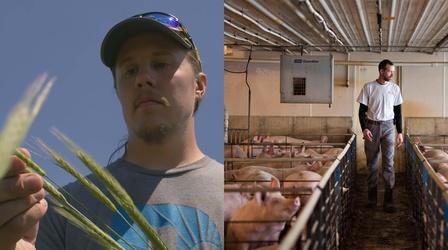 Video thumbnail: PBS NewsHour Meat plant closures trickle down to grain production