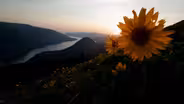 Dog Mountain Photo Essay