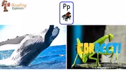 PK-313: Beginning Sounds ‘P’, ‘B’ & ‘E’