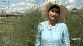 Video thumbnail: Friday Arts Lisa Mosca discusses her work