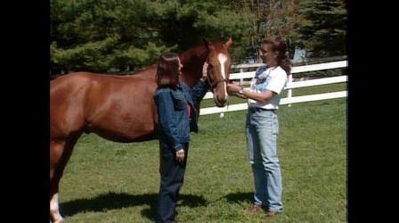 Video thumbnail: Rural Free Delivery Horses/Western Saddles/Hayward Gardens/Willem Lange