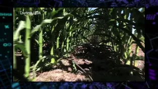 311: Lasers & Farming