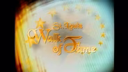 St. Louis Walk of Fame (2002)
