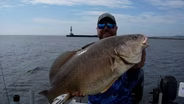 Sheephead Fishing, Forest Management, Deer Hunt