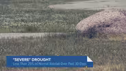 What's Causing Chicago's Drought Conditions?