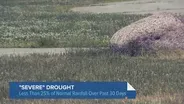 What's Causing Chicago's Drought Conditions?