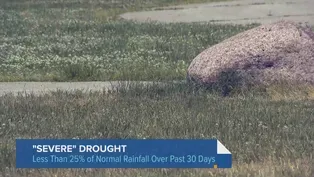 What's Causing Chicago's Drought Conditions?