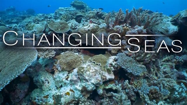 American Samoa's Resilient Coral Reefs | Trailer