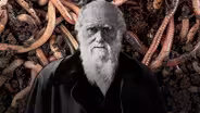 Darwin's Unexpected Final Obsession