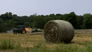KSU Helps Open New Hay Testing Lab