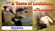 Oysters in Cajun & Creole Cooking