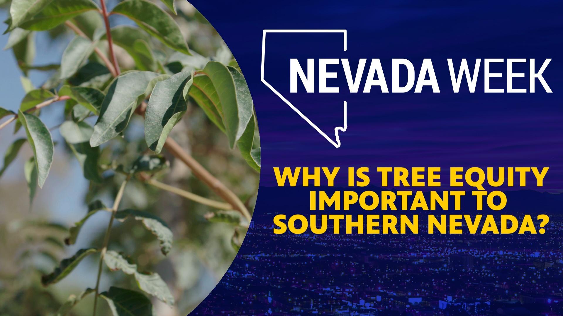 Why is Tree Equity Important to Southern Nevada?