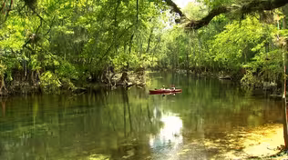 The Story of Florida State Parks: The Early Years (1864 - 1942)