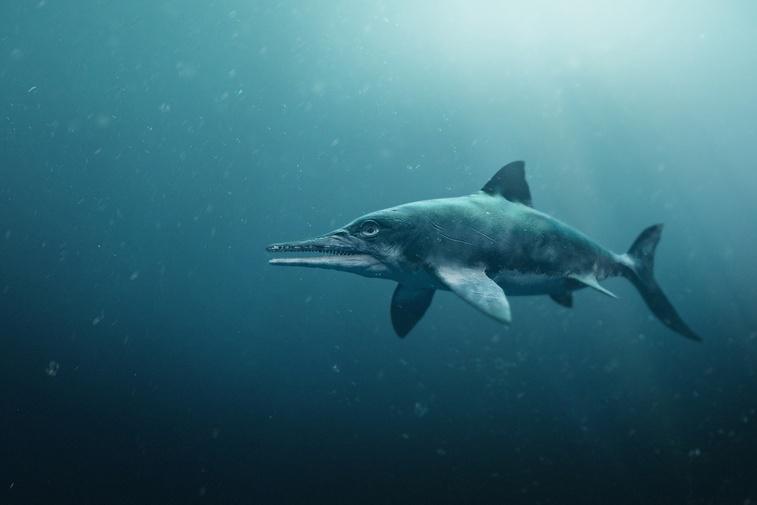 Attenborough and the Sea Dragon Poster