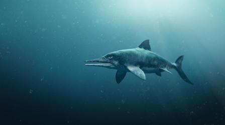 Video thumbnail: Nature Attenborough and the Sea Dragon