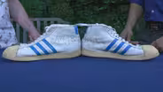 Appraisal: Larry Bird-signed Shoes, ca. 1978