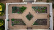 Growing Herbs