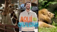 OKC Zoo - Winter Edition