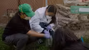 How Prospering Backyards Unifies Art, Science & Community