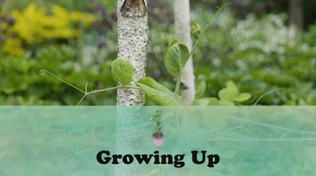 Video thumbnail: Let's Grow Stuff Growing Up!