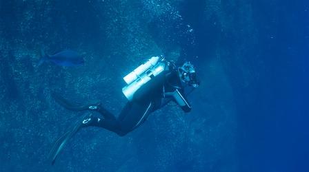 Video thumbnail: Expedition Shark Island Dive Testing